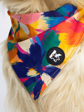 Dog Bandana - Sunset Floral Splash